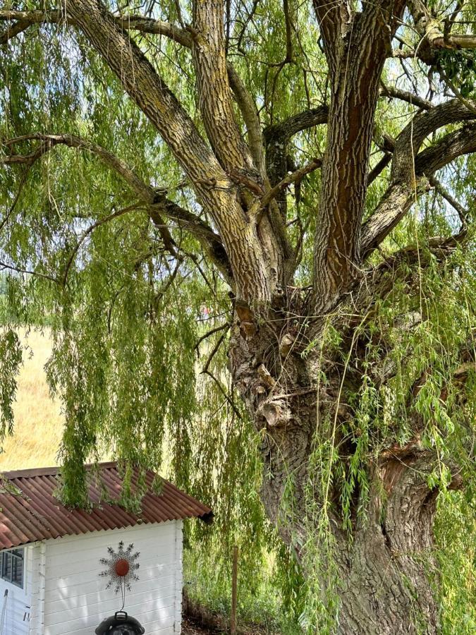 Maison Bourbonnaise Idealement Placee Proche Du Centre Ville De Moulins Neuvy  エクステリア 写真